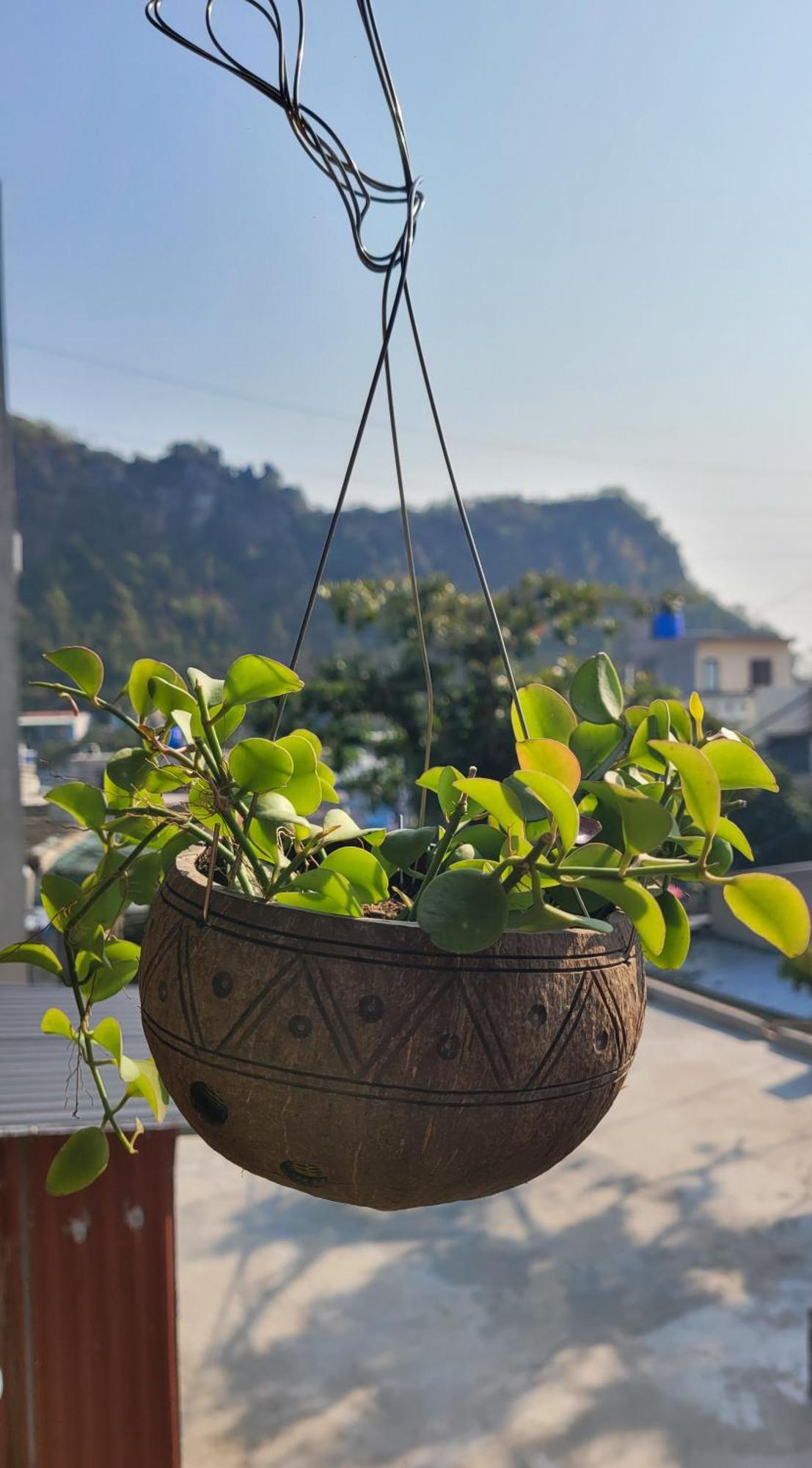 Tiny Garden House Cat Ba Hotel Chan Chau Exterior foto