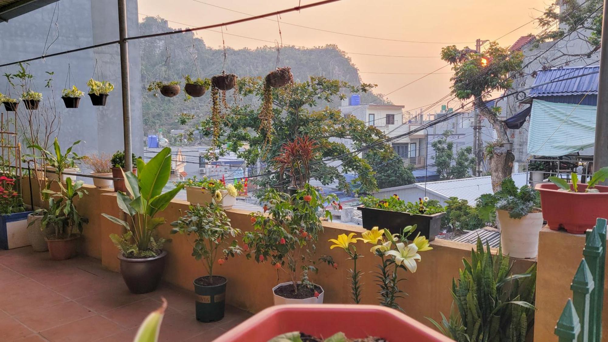 Tiny Garden House Cat Ba Hotel Chan Chau Exterior foto